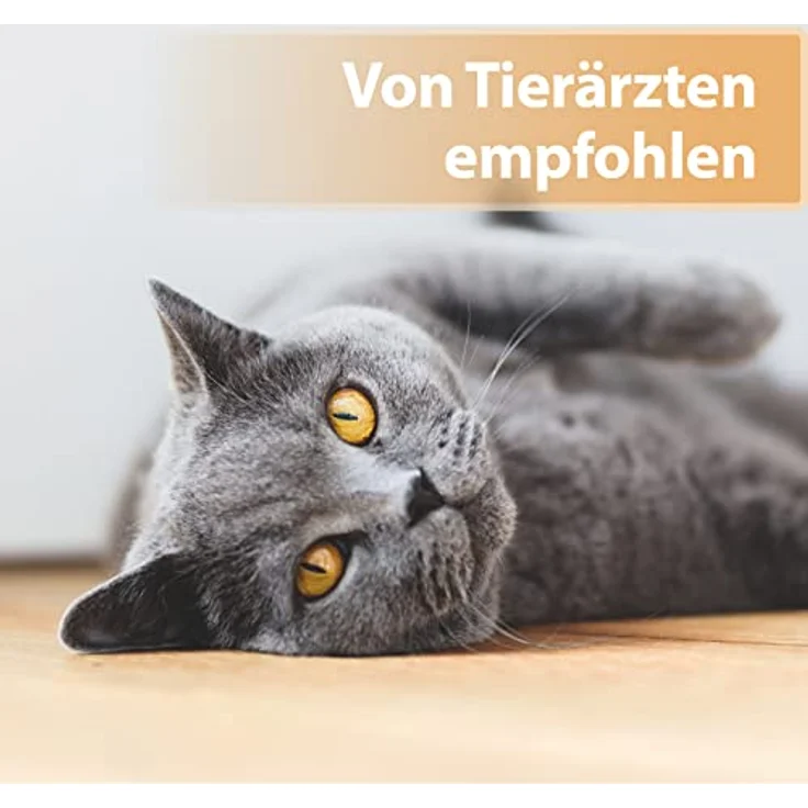 Felisept Wundgel für Katzen, 20ml - Optimale Wundversorgung, schmerzfreie Anwendung, positiver Effekt auf die Narbenbildung – Bild 5