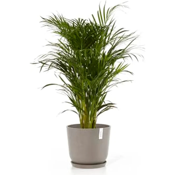 Ecopots Decolines 35 cm Ø Taupe Kunststoff-Blumentöpfe | Wetterfeste Blumentöpfe für Balkon und Terrasse – Bild 8
