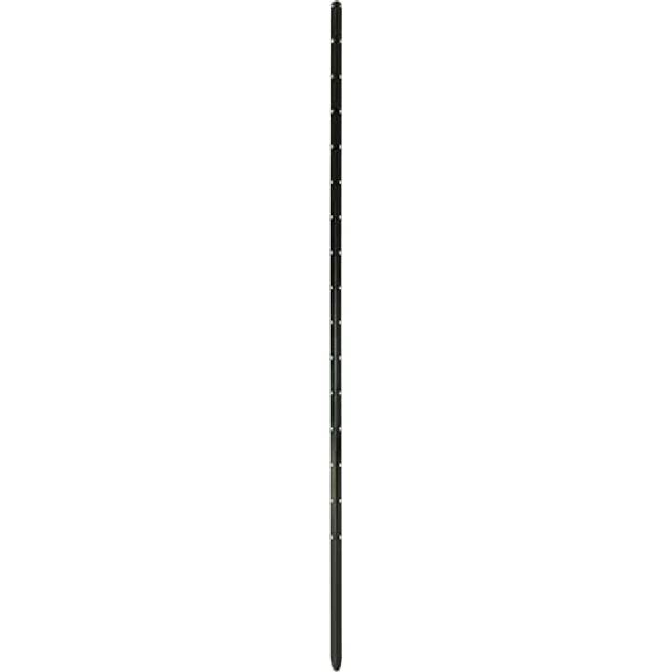 bellissa Verlängerung Pflanzenstab Timo, verzinkter Stahl, grün, 120 cm, max. Nutzhöhe 260 cm, wetterfest und stabil – Bild 1