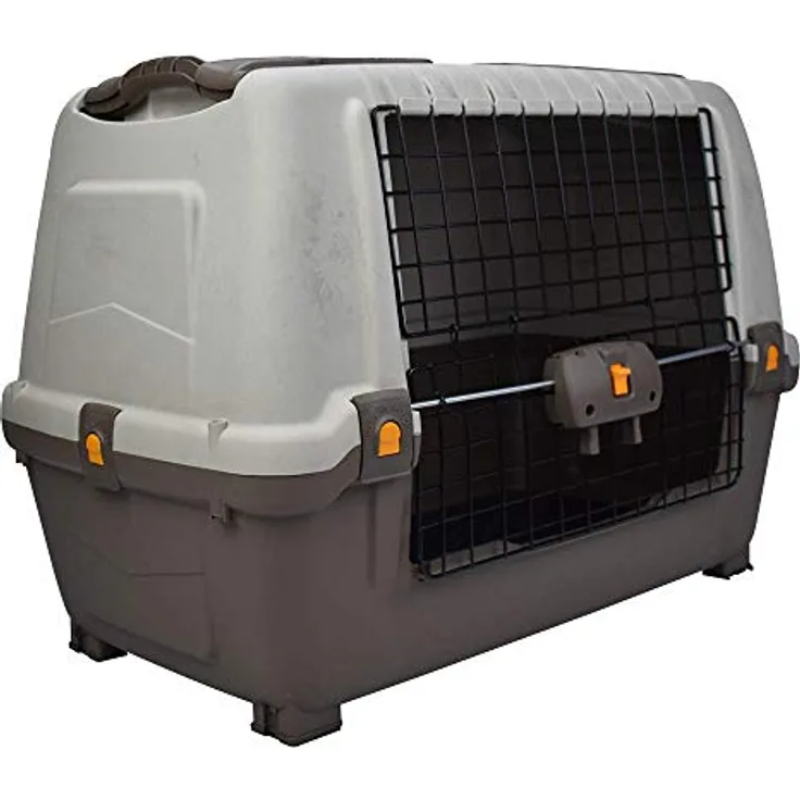 Autobox "Skudo Car 80" grau L x B x H: 77 x 43 x 51