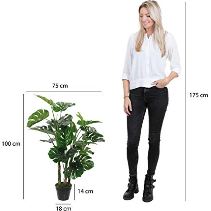 Mica Monstera, Gruen, 132 – Bild 4
