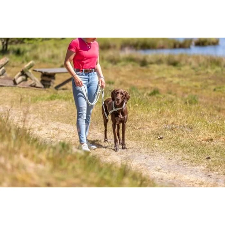 TRIXIE Soft Rope Hundeleine, L-XL 1,0 m/13 mm, hellgrau - robuste Leine für große Hunde mit Trigger Snap Hook, ergonomischer Handschlaufe und strapazierfähigem Nylon – Bild 5