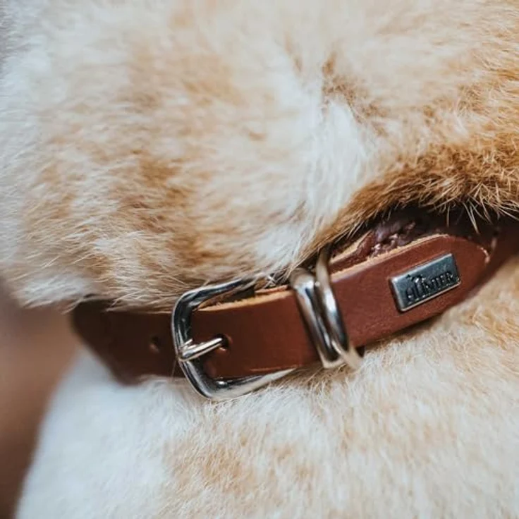 Hunter Hunde-Halsband Round & Soft braun M – Bild 3