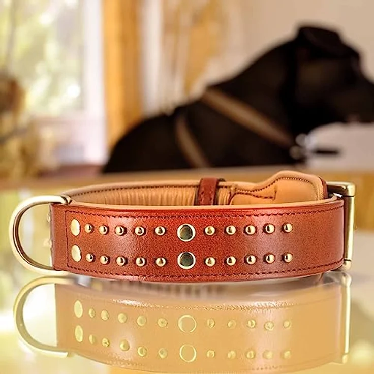Monkimau Hundehalsband - Halsband für Hunde aus Leder mit Nieten gepolstert verstellbar (XS-S: 25mm x 40cm) – Bild 2