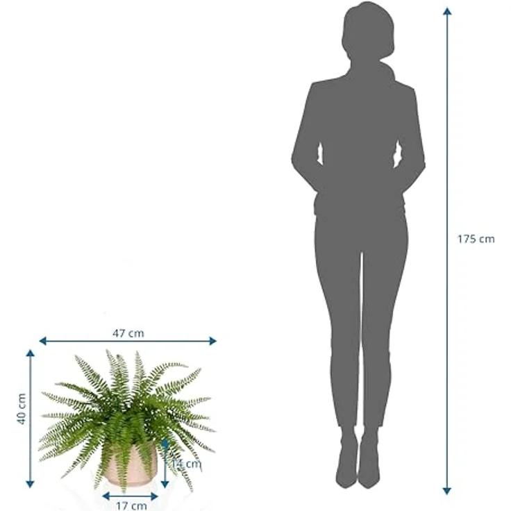 Hjh Office Kunstpflanzen Proliferum, 40 cm hohe Kunstpflanze mit realistischer Optik – Bild 6