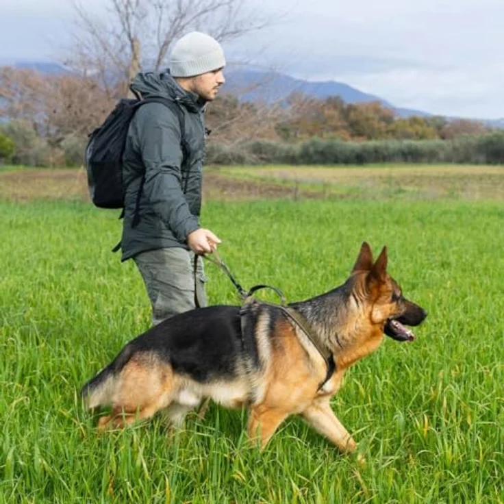 Non-Stop Dogwear Touring Bungee WD, Hundeleine mit Bolzen-Snap-Triggerclip und Griff, Olivgrün – Bild 5