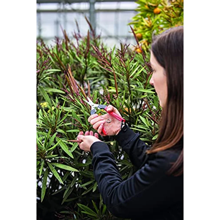 FELCO 321 Ernte- und Leseschere – Bild 5