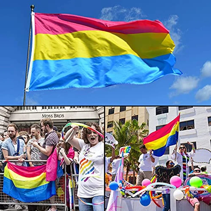 MOGADEE Pansexual Pride Flag, 90 x 150 cm wetterfeste Flagge mit Messingösen, doppelt gefaltet, für Innen- und Außenbereich, LGBT-Aktivitäten – Bild 4