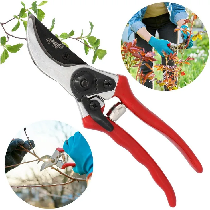 Sarcia.eu Baumschere Gartenschere, 20 cm Astschere mit ergonomischem Griff