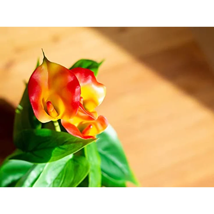 EUROPALMS Calla mini, Kunstpflanze, gelb orange, 43cm | Zimmerpflanze im Blumentopf – Bild 4