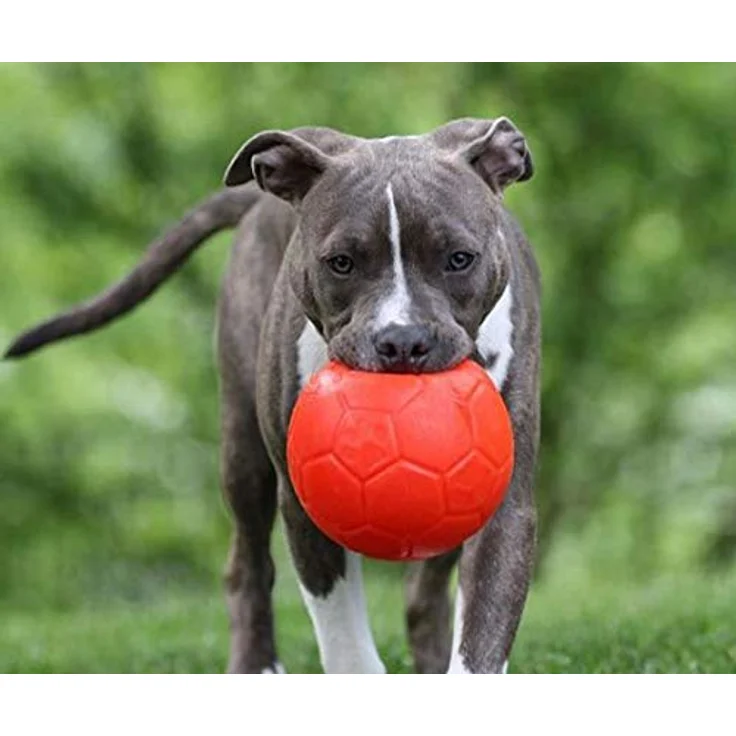Jolly Pets Fußball, 15,2 cm, Rose, aus Jollyflex-Material, schwimmfähig, S/M – Bild 2