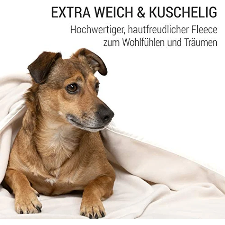 Doctor Bark | kuschelige Hundedecke waschbar bis 95°C, hygienische, weiche Fleecedecke für Sofa und Hundebett, Flauschige Haustierdecke - Made in Germany (M - 100x70 cm/Hellbeige) – Bild 3