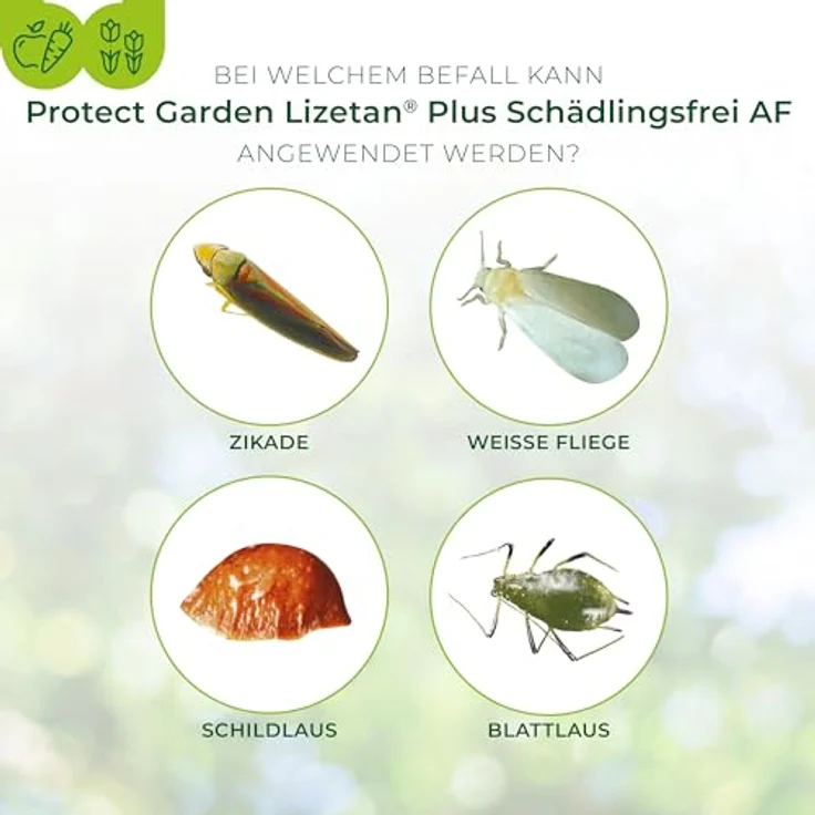PROTECT GARDEN Lizetan Plus Schädlingsfrei AF, 3 l Spray, Gelb - Effektive Schädlingsbekämpfung an Zierpflanzen, Rosen, Obst und Gemüse – Bild 5