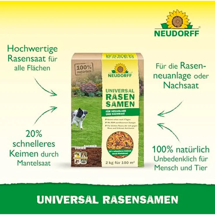 Neudorff UniversalRasenSamen, Hochwertige Rasensamen-Mischung für Neuanlage und Nachsaat, schnellkeimend in 5 Tagen, 2 kg, Braun – Bild 2