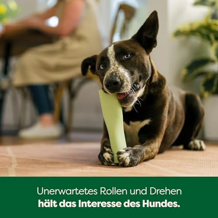 Earth Rated Kauspielzeug, interaktives Spielzeug aus Naturgummi für Hunde und Welpen, spülmaschinen- und gefriergeeignet, groß, grün – Bild 4