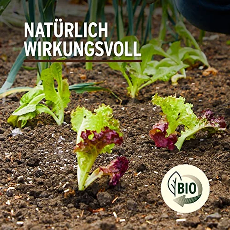 Substral Naturen Schneckenkorn Limex Bio, natürliches, regenfestes Ködergranulat zur Schneckenbekämpfung, für 400 m² - 1,2 kg, Hund – Bild 4