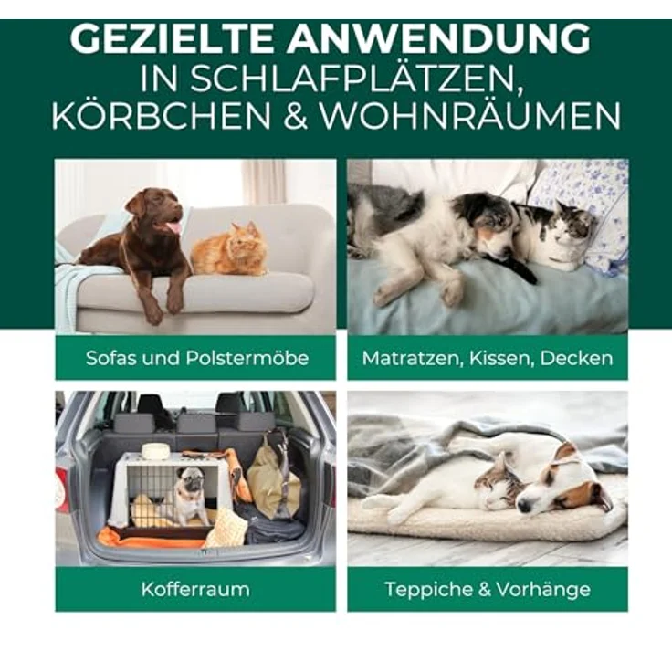 Silberkraft Insektenspray Flohspray Textil & Umgebung 500 ml, gezielte Flohbekämpfung für Textilien & Umgebung, inkl. E-Book mit Tipps zur Vorbeugung – Bild 3