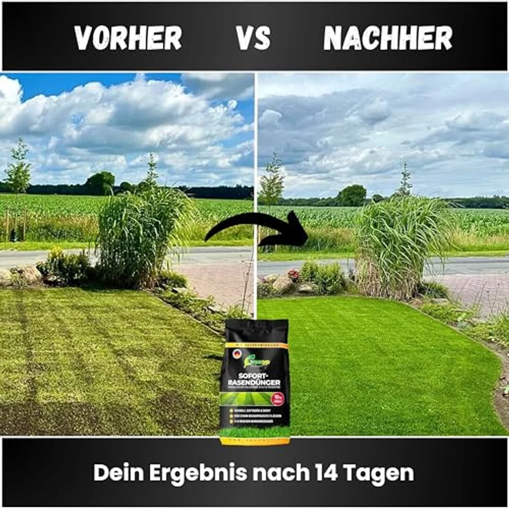 Greenyp Instant Rasendünger Frühjahr, 20kg für 800m², blitzschnelle Sofortwirkung, NPK Dünger, verhindert Moosbildung, unbedenklich für Haustiere – Bild 3