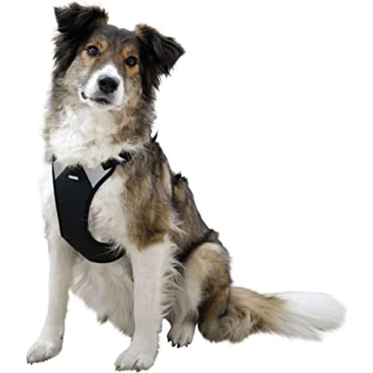 Hundegeschirr Pulsive, schwarz, 50-62cm, 56-74cm – Bild 2