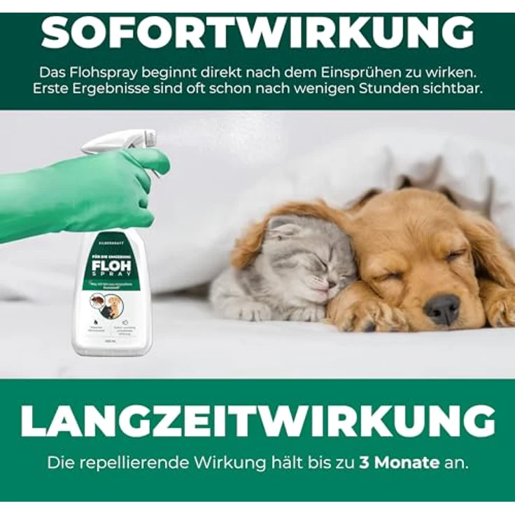 Silberkraft Flohspray für Umgebung, Insektenspray gegen Flöhe, Zecken & Milben, 2000 ml, Langzeitschutz, Made in Germany – Bild 6