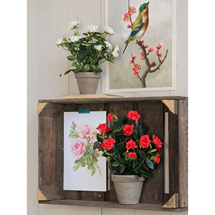 MICA Decorations Rosenstrauch Kunstpflanze im Blumentopf Stan - H33 x Ø25 cm - Rot – Bild 4