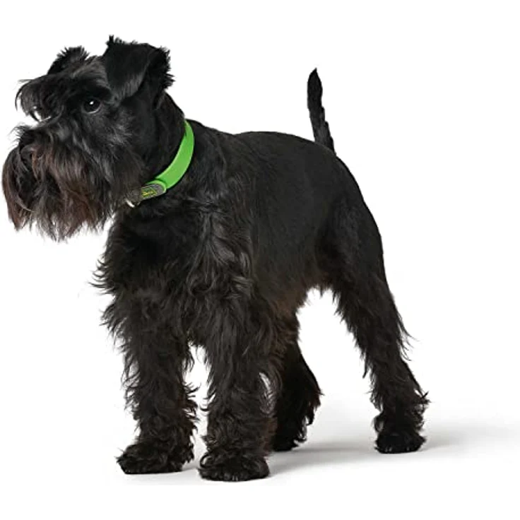 HUNTER CONVENIENCE Hundehalsband, Kunststoffmaterial, 35 XS-S, apfelgrün – Bild 3