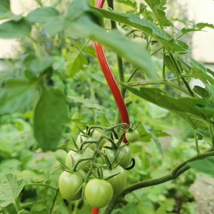 Bellissa Tomatenspirale, Rankhilfe 110 cm Ø 5 mm, rot beschichtet, langlebig und stabil – Bild 6