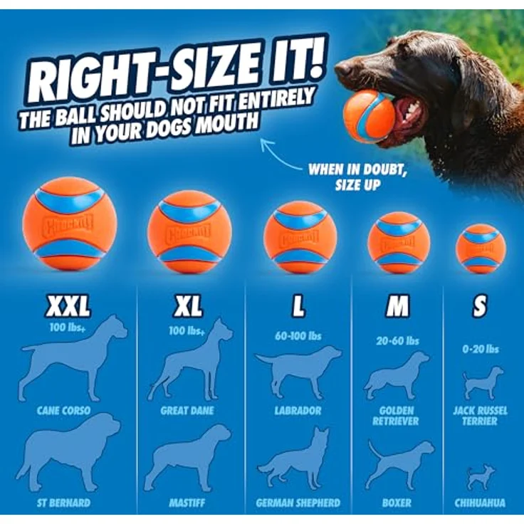Chuckit! Chuckit Sport Ball Launcher L 66 cm, Hundespielzeug – Bild 6