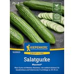 Kiepenkerl Profi-Line Salatgurke Maxime F1-Hybride, kernarm, dunkelgrün, robust und resistent gegen echten Mehltau