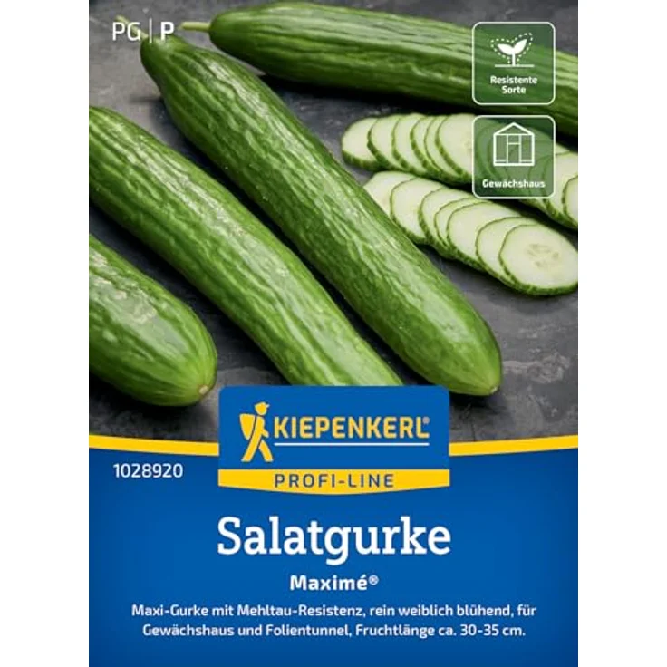 Kiepenkerl Profi-Line Salatgurke Maxime F1-Hybride, kernarm, dunkelgrün, robust und resistent gegen echten Mehltau – Bild 1