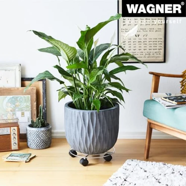 WAGNER Pflanzenroller Chrome Ø 30 cm I Pflanzenroller für Innenbereich, Chrom I Blumenroller aus verchromten Stahl I Kübelroller Silber-glänzend I Tragkraft 60 kg ? 20092901 – Bild 2