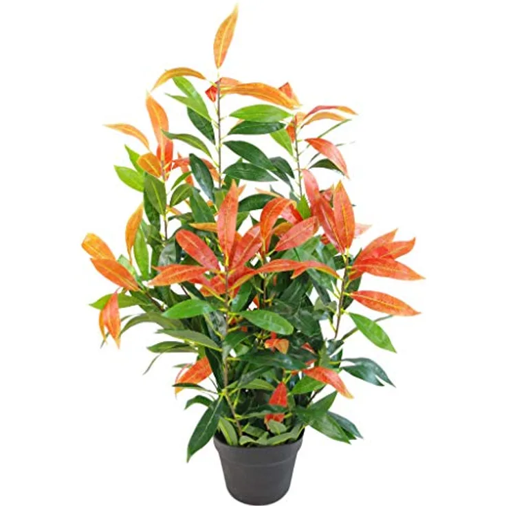 Leaf Ficus-Pflanze, Schwarz LEAF-7232 80cm red grün