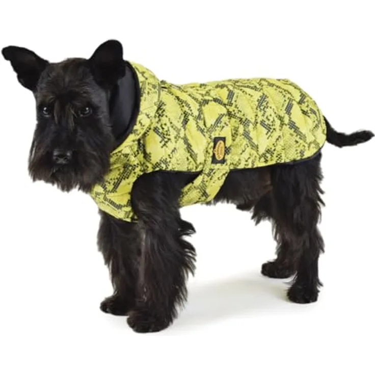 Fashion Dog gesteppter Regenmantel für Hunde - 24 cm