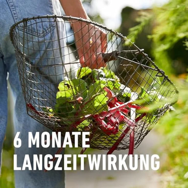 COMPO Garten Langzeit-Dünger, 2 kg für Gartenpflanzen, 6 Monate Langzeitwirkung, umweltschonende Rezeptur, für 37 m² – Bild 5