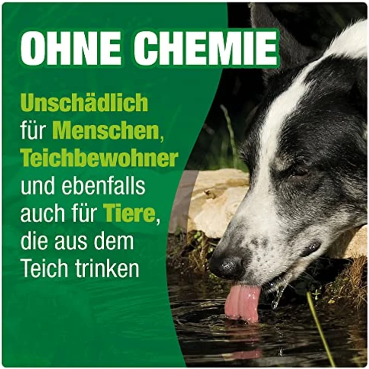 AQUALITY Gartenteich Vitamine & Mineralien Pond 3in1 (Lebenswichtige Fischvitamine für eine erhöhte Abwehrkraft, Vitalität und Laichfreudigkeit), Inhalt:5 Liter – Bild 4