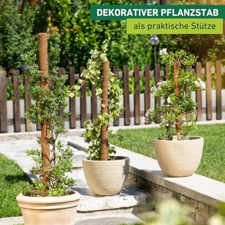 Windhager Pflanzstab Kokos, Rankstab Rankhilfe Blumenstab Kokosstab, zur Dekoration, aus natürlicher Kokosfaser, verlängerbar, 80 cm, 05662 – Bild 2