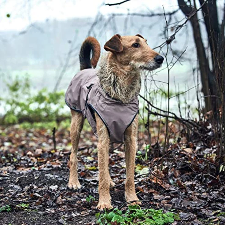 HUNTER UPPSALA Hundemantel, wasserabweisend, reflektierend, 35, taupe – Bild 5