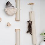 RHRQUALITY Katze klettersack Wandmöbel Kletterwand (Bis 20KG) 175 x 30 cm für alle Katzen (Beige) - XXL Wand klettersack mit hochwertigem Sisalteppich, für schwere und große Katzen geeignet