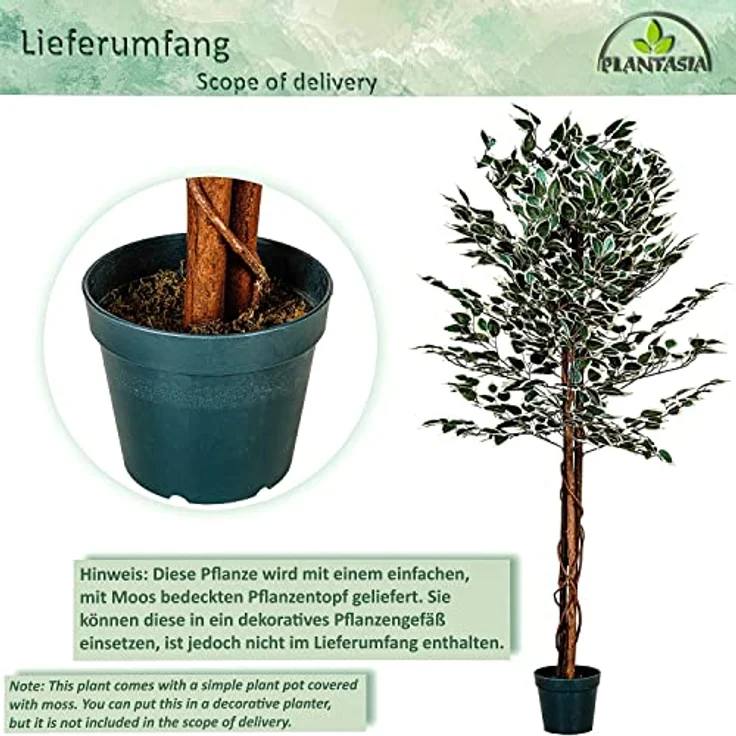 PLANTASIA Kunstpflanze Ficus Benjamini 160 cm, authentisch wirkender künstlicher Baum mit Echtholzstamm und 714 detailreichen Blättern – Bild 3