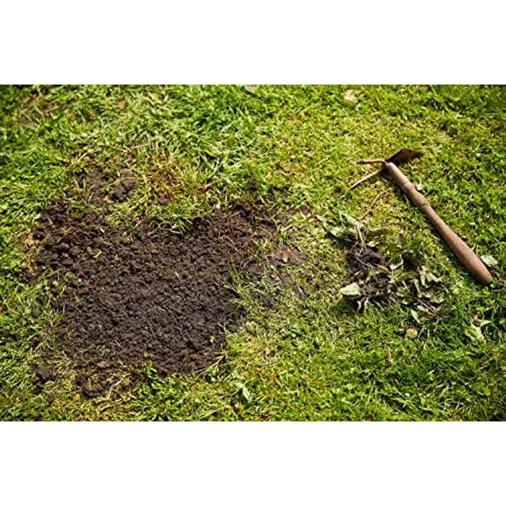 COMPO SAAT Trocken-Rasen, 2 kg für 80 qm – Bild 9