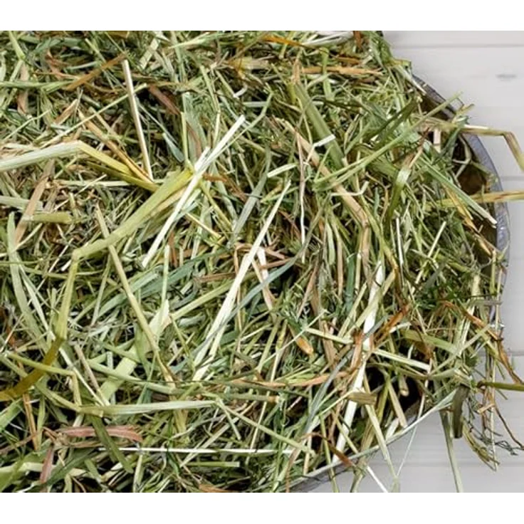 BunnyNature Frisch Gras Heu, 3 kg – Bild 2