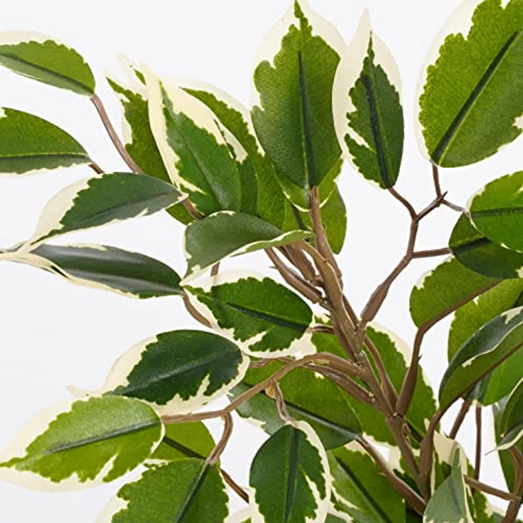 Mica Kunstpflanze Ficus Natasja grün bunt im Topf – Bild 4