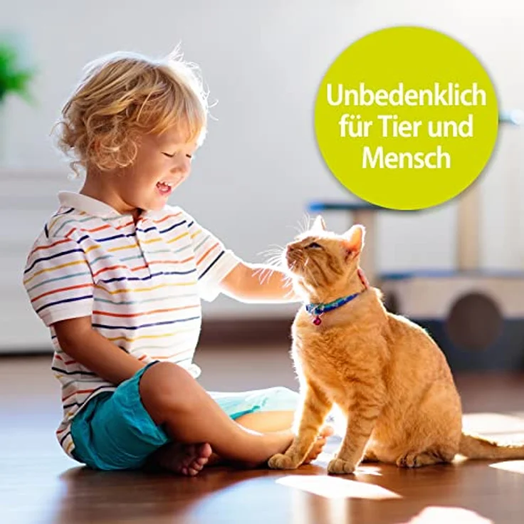 Bactador Katzentoiletten Enzymreiniger Katzenurin Geruchsentferner Spray 500ml Mikrobiologischer Geruchsneutralisierer Katzenurin & Tiergerüche Porentiefe Reinigung Hunde & Katzenumgebung – Bild 4