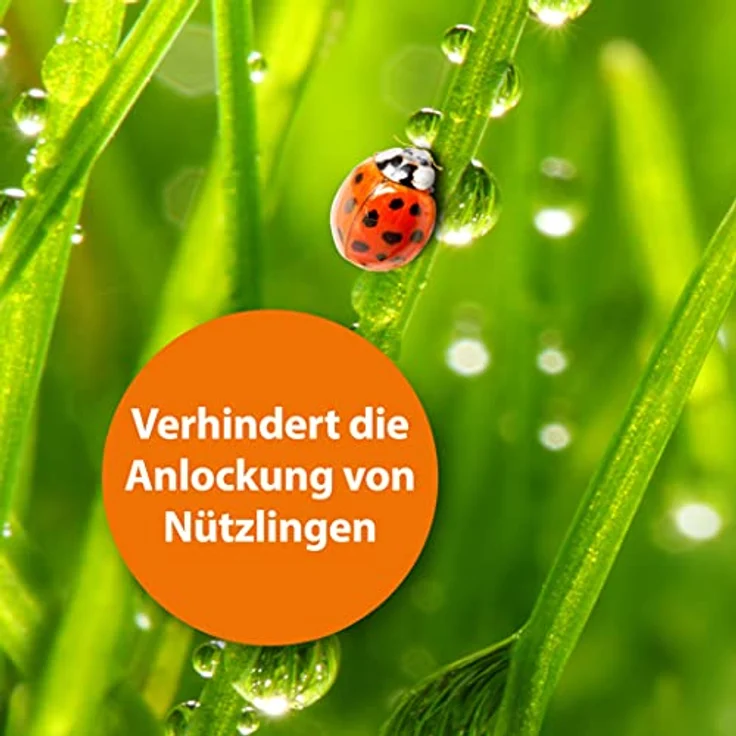 Quiko ARDAP Fliegenfalle - Biologische Fliegenfalle Außen - Natürlicher Anti Fliegen Lockstoff mit Langzeitwirkung – Bild 6