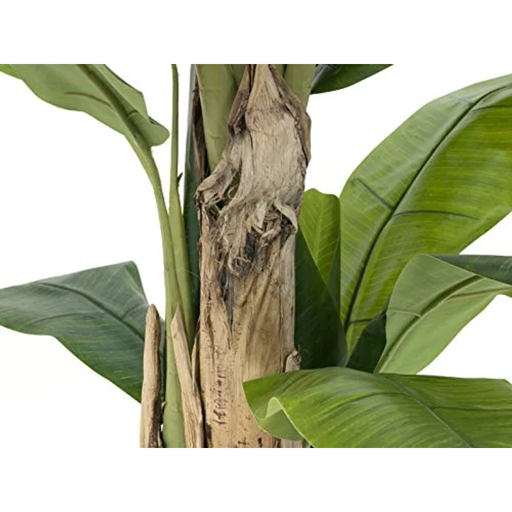 EUROPALMS Bananenbaum Kunstpflanze, 170 cm, drei Stämme aus Naturmaterial mit EVA Blättern – Bild 3