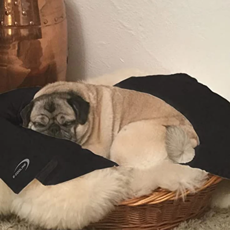 E.COOLINE PowerDog SX3 Kühlweste für Hunde Gr. 0 - Aktiv kühlende Hitzeschutzweste für Haustiere - waschbar - Made in Germany – Bild 3