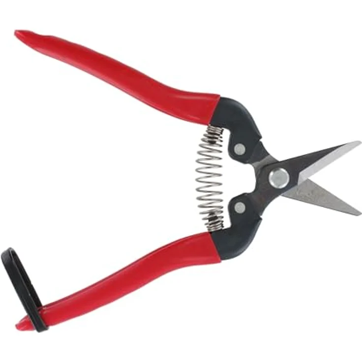 Ars 300SS, Traubenschere, 1228-00 mittelgroß 17,1 cm 100g Gartenschere Leseschere Ernteschere – Bild 4