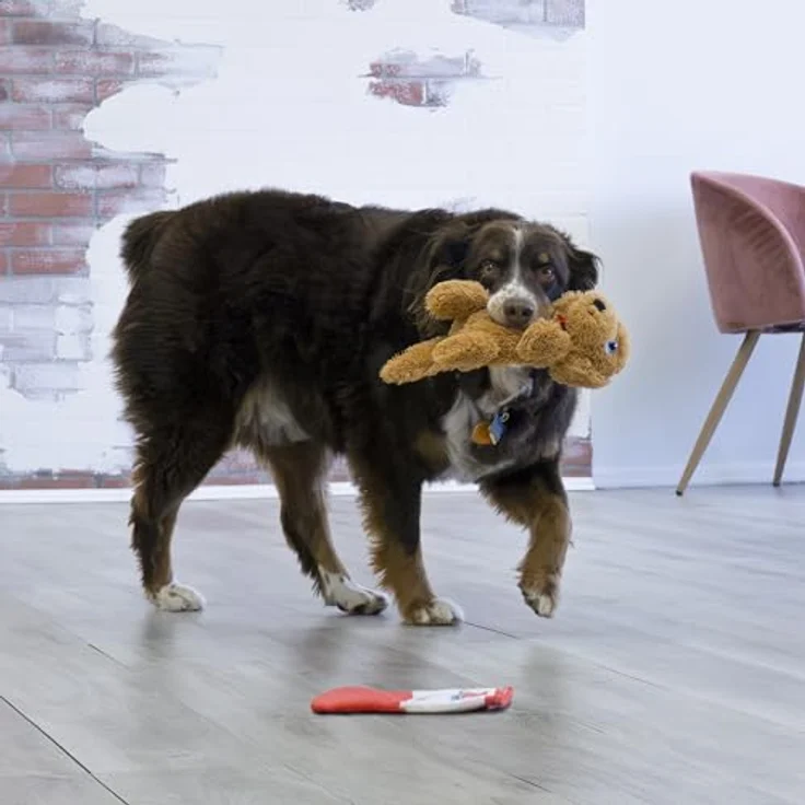 KONG Comfort Pups, Plüschfell mit geringer Füllung und Quietschelement, knisternde Ohren, Größe M, goldfarben – Bild 4