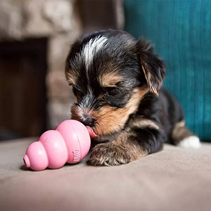KONG Puppy X-Small – Bild 5