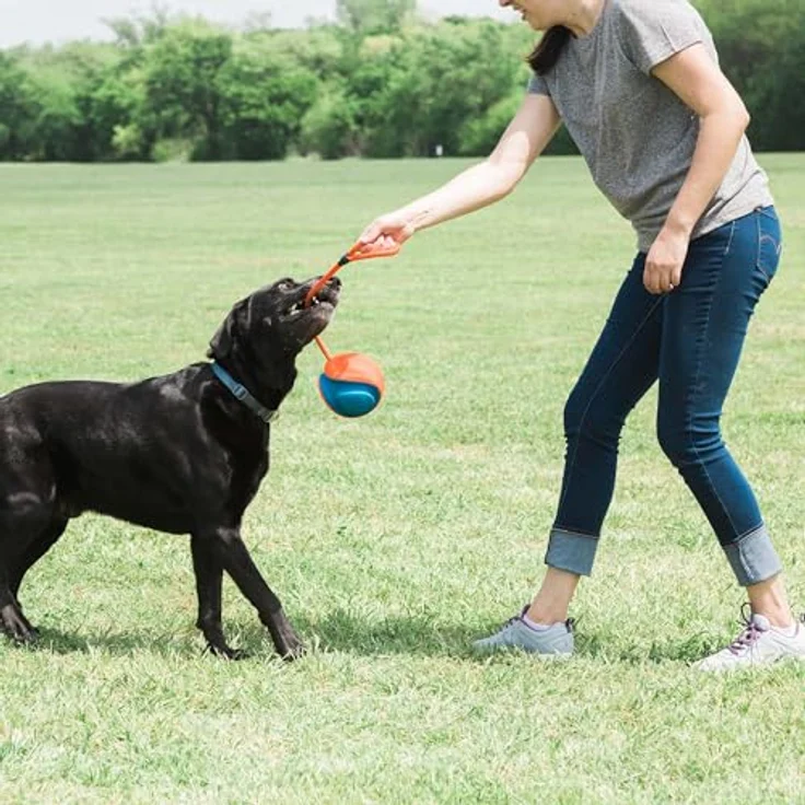 Chuckit! CH 32220 Rope Fetch – Bild 5